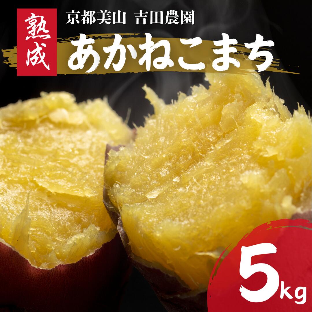 【ふるさと納税】産地直送 さつまいも 5kg 熟成 あかねこまち 京都丹波産 【※予約商品25年12月より順次発送】　お届け：2025年12月上旬～2026年1月下旬