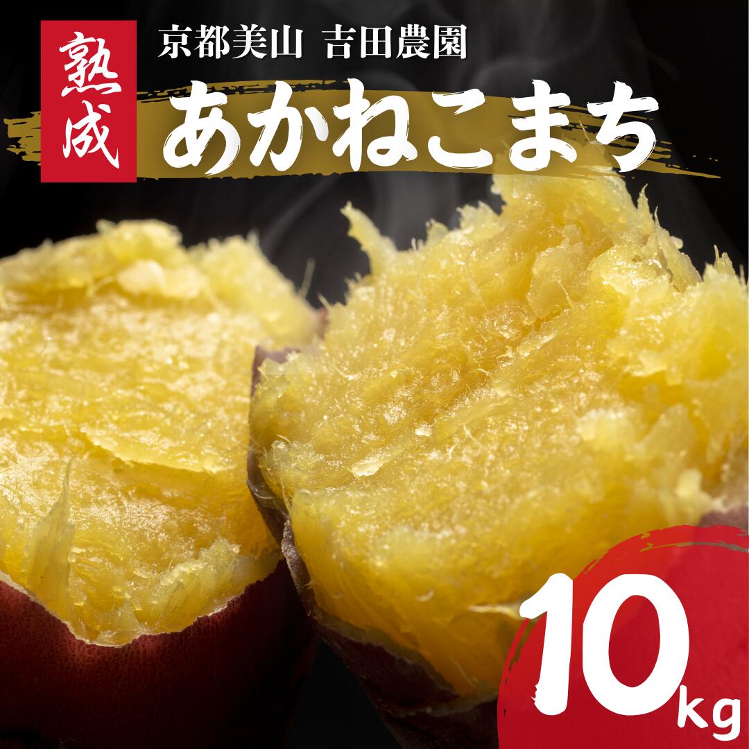 【ふるさと納税】産地直送 さつまいも 10kg 熟成 あかねこまち 京都丹波産 【※予約商品25年12月より順次発送】　お届け：2025年12月上旬～2026年1月下旬