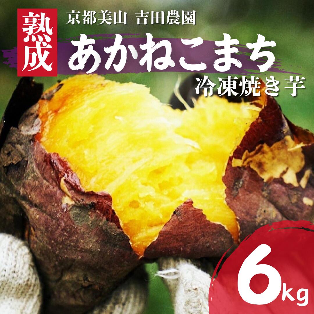 【ふるさと納税】産地直送 冷凍焼き芋 6kg 熟成 あかねこまち 京都丹波産 【※予約商品25年12月より順次発送】 やきいも 焼き芋 さつまいも おやつ　お届け：2025年12月上旬～2026年1月下旬