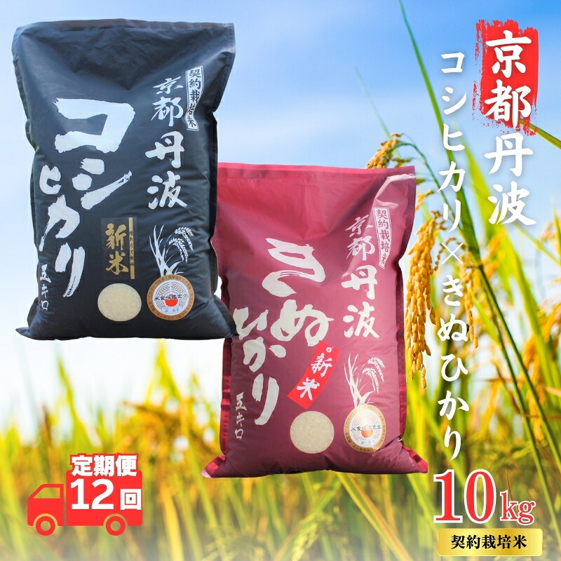 【ふるさと納税】【12カ月定期便】令和7年産 京都丹波産 こしひかり・きぬひかり 食べ比べセット 10kg 合計120kg|京都府南丹市