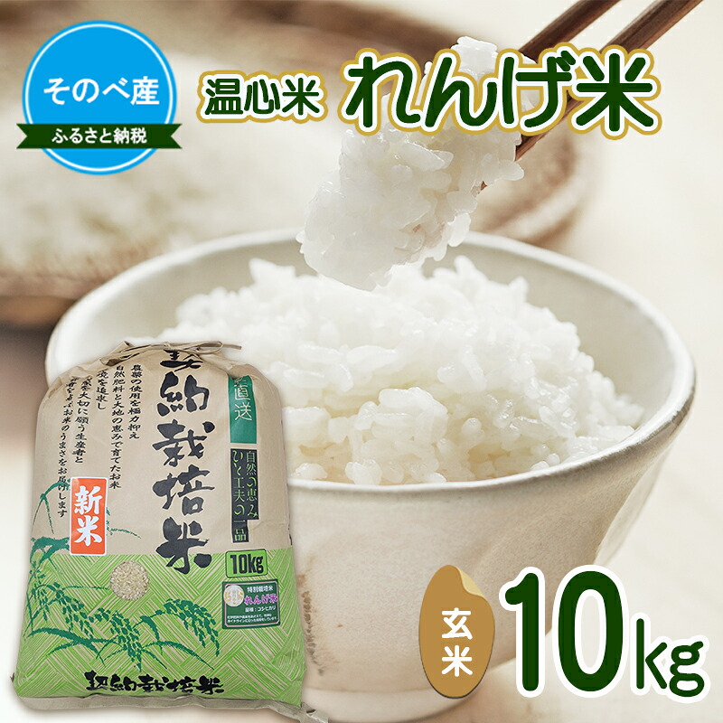 【ふるさと納税】れんげ米10kg 玄米×1 令和7年度産 そのべ産 温心米 お米 単一原料米 こしひかり 丹波 精米 玄米 こめ コメ 京都|京都府南丹市