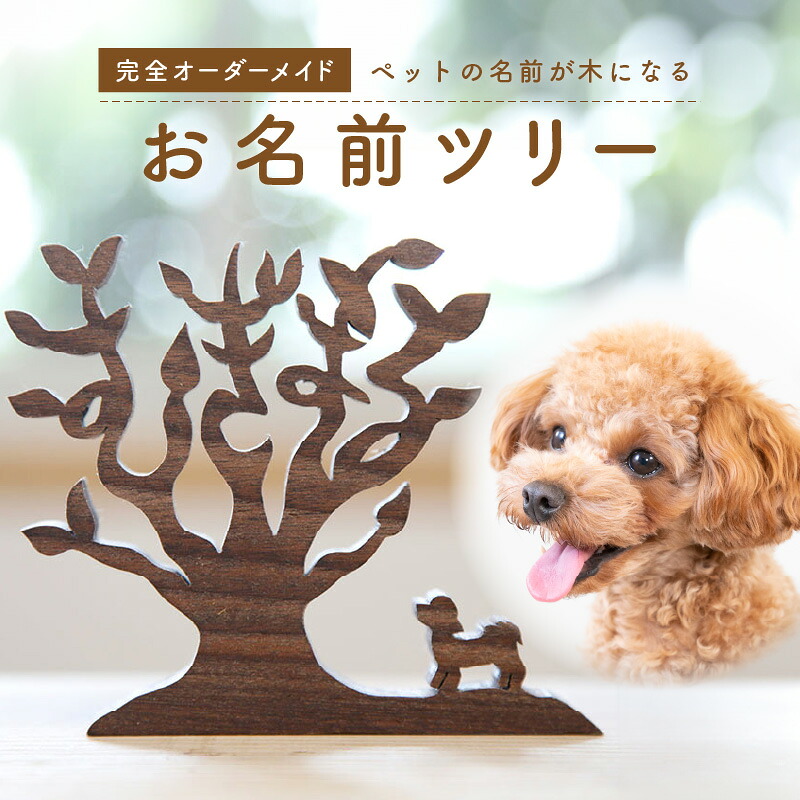 父の日差し上げ物特集