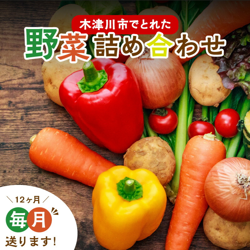 【ふるさと納税】《レビューキャンペーン》＜京都産＞木津川市でとれた野菜詰め合わせを１２か月毎月送ります！ 野菜セット 季節の野菜 新鮮 JA京都やましろ農産物直売所 木津店
