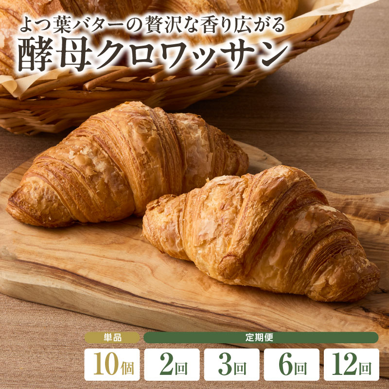 【ふるさと納税】 よつ葉バターの贅沢な香り広がる♪酵母 クロワッサン10個 選べる回数(1回・2回・3回・6回・12回)定期便 自家培養酵母 100% 国産小麦 ザクザク しっとり バター ブーランジェリーファヴール 京都 こだわり冷凍 パンセット