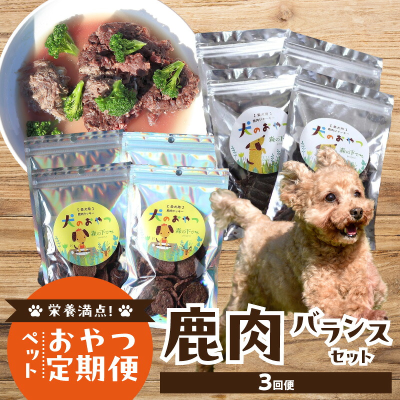 【ふるさと納税】【定期便】栄養満点！ペットおやつ定期便 鹿肉 バランスセット 【全3回】 犬用鹿肉ジャーキー スープ クッキー 定期便 添加物不使用 高たんぱく質 低カロリー 低アレルゲン イヌ 鹿肉 ジビエ ペットフード おやつ ドッグフード ジビエ 国産 森の下でproject 23,100円
