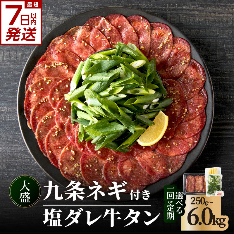 【ふるさと納税】スピード発送！！塩ダレ牛タン 大盛九条ネギ 選べる内容量 （250g・500g・750g） 選べる定期便 （500g×3回・6回・12回） 《レビューキャンペーン》 牛タン セット 牛肉 京都九条ネギ 小分け 冷凍 真空パック 薄切りスライス BBQ 京都 牛たん 牛タン塩