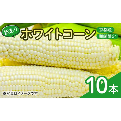 【ふるさと納税】【訳あり】京都府産 白い とうもろこし　ホワイトコーン 10本 (個包装)【1618532】