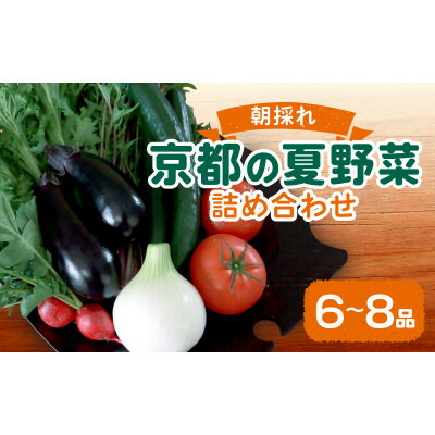 【ふるさと納税】夏野菜 6～8種 セット　京都府久御山町【配送不可地域：離島】【1623427】