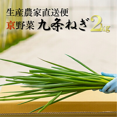 【ふるさと納税】生産農家直送 京野菜・九条ねぎ2kg〈ねぎ ネギ 葱 九条ねぎ 京野菜 京都 新鮮 甘い 農家直送 野菜〉 |京都府宇治田原町