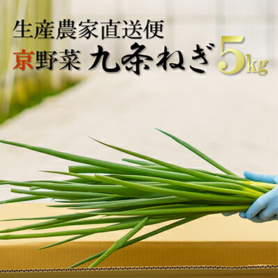 【ふるさと納税】生産農家直送 京野菜・九条ねぎ5kg〈ねぎ ネギ 葱 九条ねぎ 京野菜 京都 新鮮 甘い 農家直送 野菜〉 |京都府宇治田原町