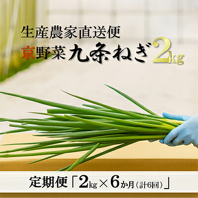 【ふるさと納税】【6か月定期便】生産農家直送 京野菜・九条ねぎ2kg〈定期便 ねぎ ネギ 葱 九条ねぎ 京野菜 京都 新鮮 甘い 農家直送 野菜〉 6ヶ月 6回 半年 |京都府宇治田原町