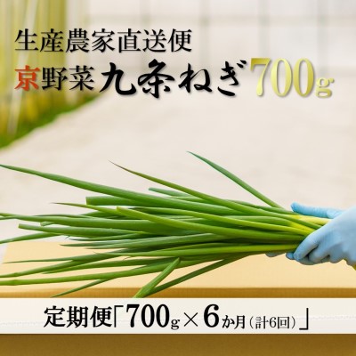 【ふるさと納税】【6か月定期便】生産農家直送 京野菜・九条ねぎ700ｇ〈定期便 ねぎ ネギ 葱 九条ねぎ 京野菜 京都 新鮮 甘い 農家直送 野菜〉 京都府産 薬味 料理 食材 半年