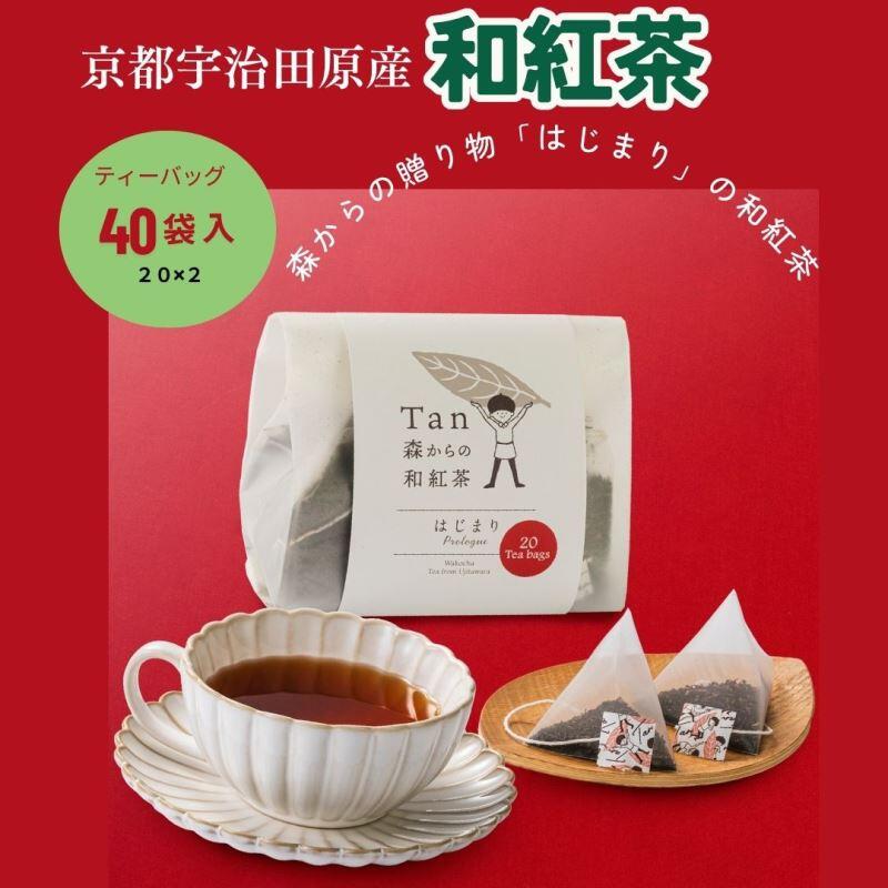 【ふるさと納税】森からの和紅茶　はじまり（20袋入）2個組〈紅茶 お茶 茶 茶葉 和紅茶ティーバッグ 飲料〉