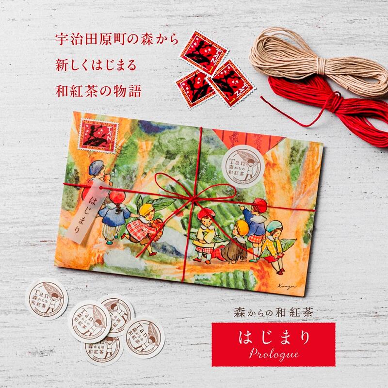 【ふるさと納税】森からの和紅茶　はじまり5セット（15袋入）〈紅茶 お茶 茶 茶葉 和紅茶ティーバッグ 飲料〉｜京都府宇治田原町