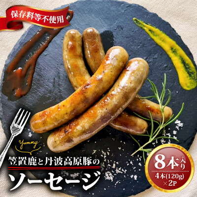 【ふるさと納税】笠置鹿と丹波高原豚のソーセージ 4本×2P【配送不可地域：離島】【1587346】 5,180円