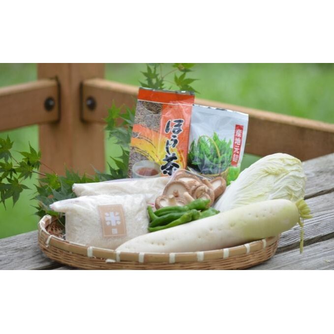 ふるさと納税 産地直送 南山城村ふるさと味わいセットb 村のお野菜 お茶 お米 お米 野菜 セット 詰合せ 季節の野菜 Agoranotizia It