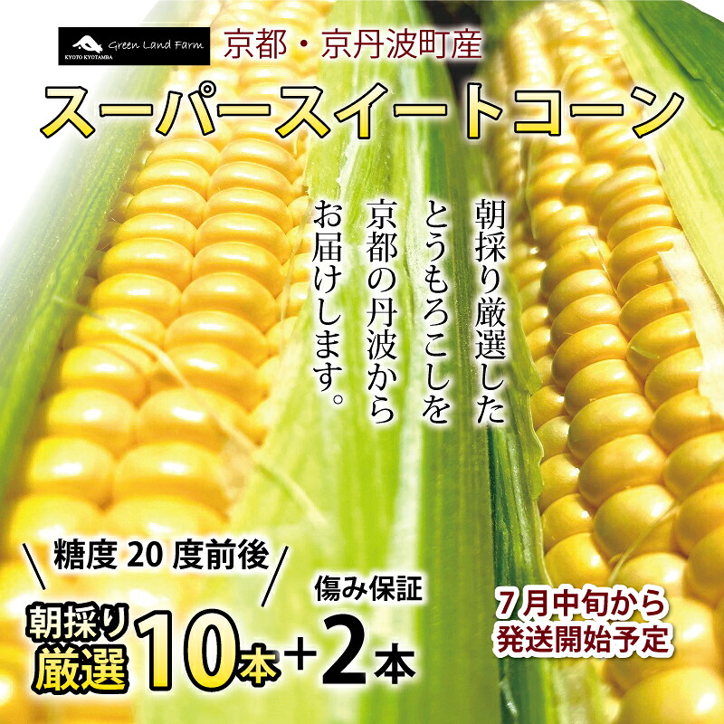 【ふるさと納税】 スーパースイートコーン 10本+傷み保証2本セット 高糖度 京都 京丹波町産 ※北海道・沖縄は配送不可。｜京都府京丹波町