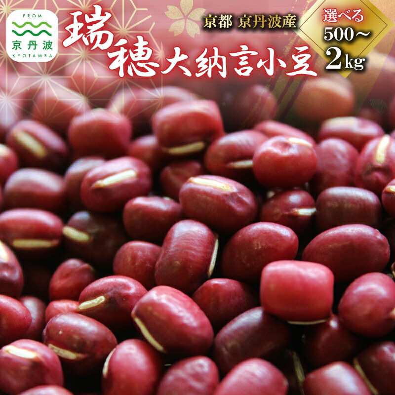 【ふるさと納税】 瑞穂大納言小豆 選べる 内容量 500g 1kg 1.5kg 2kg 【 地域限定 ブランド 小豆 あずき あんこ 赤飯 ぜんざい 京都 京丹波町産 国産 丹波 ご当地グルメ お取り寄せ 】｜京都府京丹波町