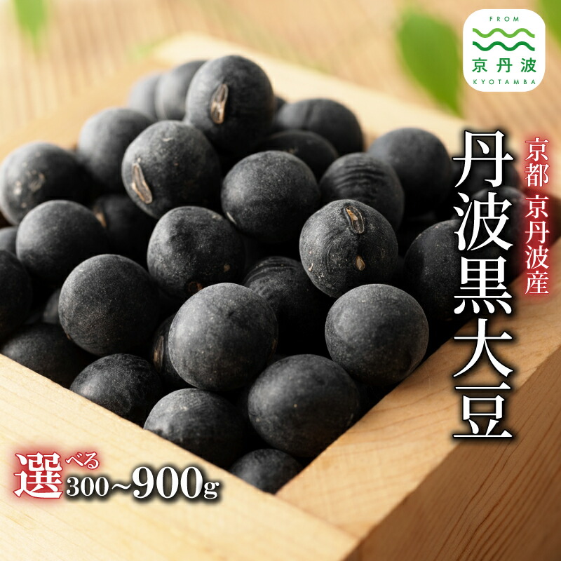 【ふるさと納税】 丹波黒大豆 選べる サイズ 数量 2L L 300g 600g 900g 生産者限定 京都 京丹波町産 丹波 黒豆 生豆 黒大豆 令和7年度産 国産 お取り寄せ ご当地グルメ|京都府京丹波町