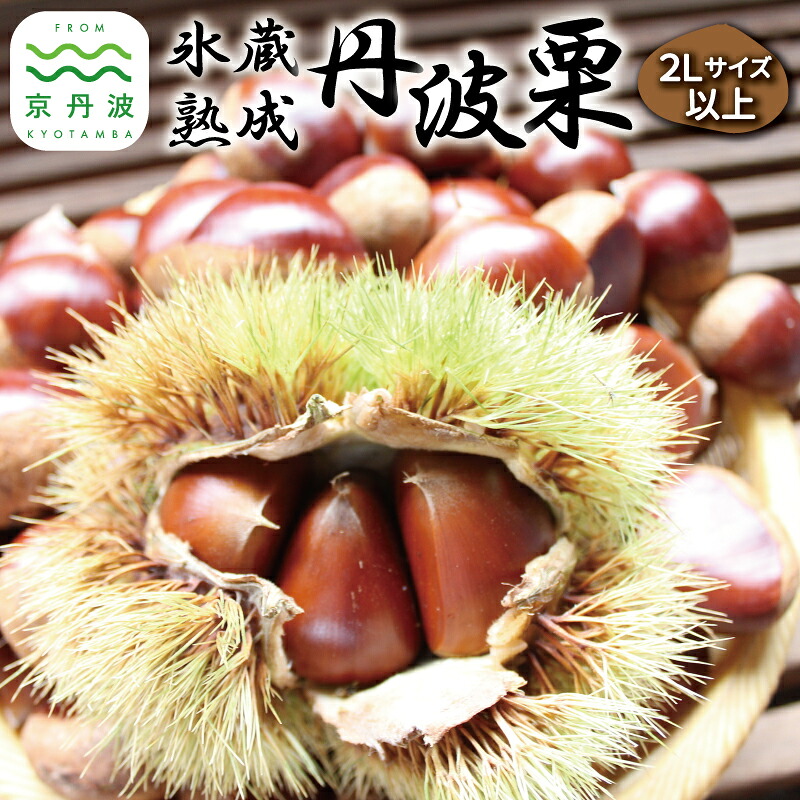 楽天市場】【ふるさと納税】【先行予約】期間・数量限定 丹波栗 厳選