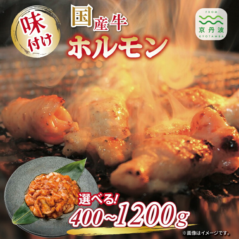 【ふるさと納税】 国産牛ホルモン ホソ 味付け 400g 800g 1200g 選べる 数量 人気商品 国産牛 ホルモン 特製たれ 味付け 焼肉 バーベキュー 京都 丹波 いづつ屋 ※北海道・沖縄・その他離島は配送不可