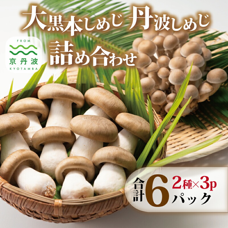 【ふるさと納税】大黒本しめじ 丹波しめじ 詰め合わせ  （ 国産 京都 きのこ キノコ 丹波 しめじ 本シメジ はたけしめじ カット 食感 シャキシャキ 旨味たっぷり 天ぷら 鍋 炒め物 ） 新生活応援 ※北海道・沖縄・その他離島への配送不可