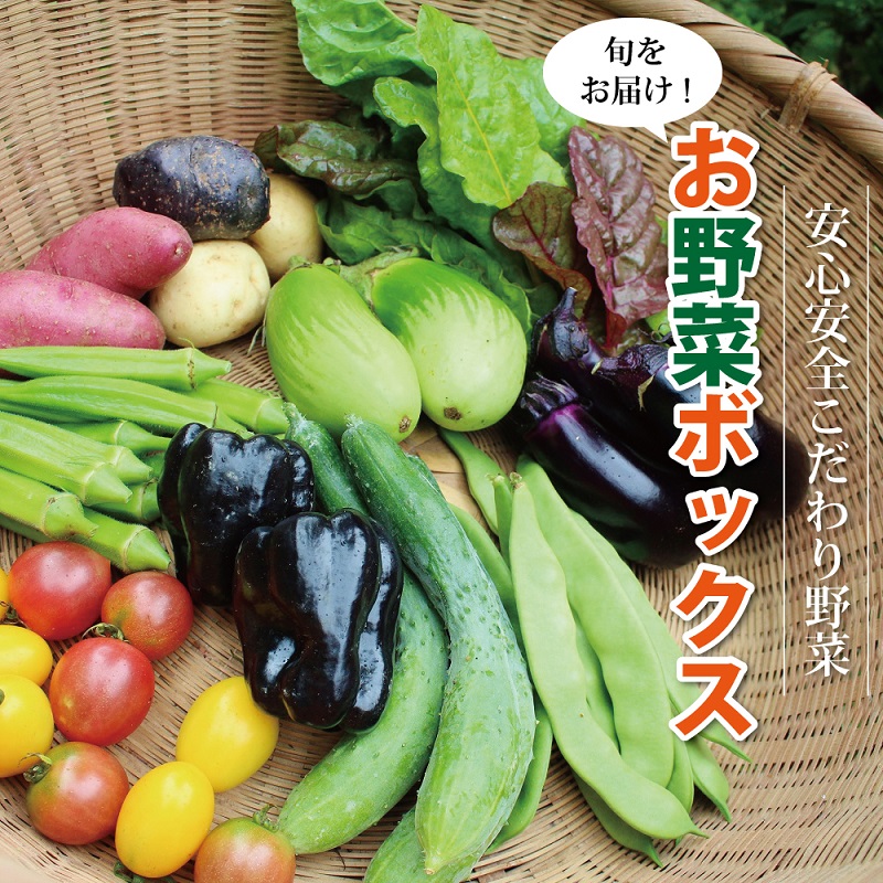 お得なキャンペーンを実施中 新鮮お野菜ボックス 京都 京丹波町産 ≪栽培期間中農薬不使用の安心安全こだわり野菜≫ balkon86.ru