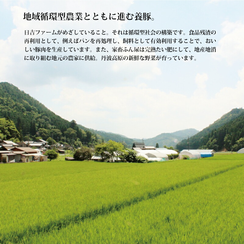 今ダケ送料無料 京都丹波の豚肉 9個 京丹波町産 京丹波高原豚手作り豚まん 手作り豚まん サイズ大 京都 惣菜