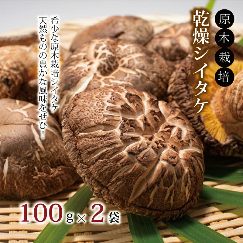 【ふるさと納税】乾燥シイタケ詰め合わせ 原木栽培 天然 しいたけ 京都 京丹波町産 椎茸