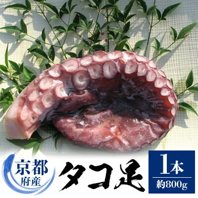 【ふるさと納税】京都府産　タコ足　1本(冷凍:鮮度抜群真空パック)【共通返礼品】【配送不可地域：離島】【1045456】