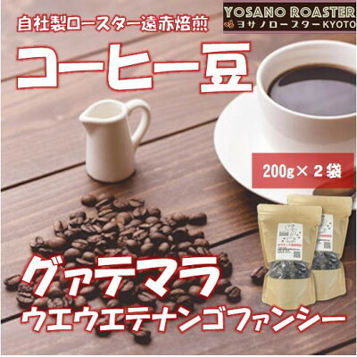 【ふるさと納税】【ヨサノロースター】 コーヒー豆　グァテマラ ウエウエテナンゴファンシー　200g×2　遠赤外線焙煎【配送不可地域：離島】【1545255】