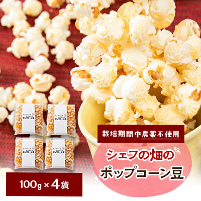 【ふるさと納税】栽培期間中、農薬を使わず自家栽培　シェフの畑のポップコーン豆　100g×4袋(20食分)【1550980】