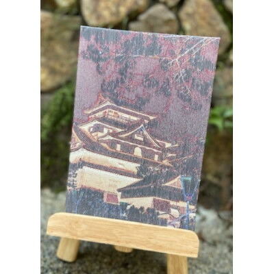【ふるさと納税】御城印帳(松江城)【1666742】 14,200円