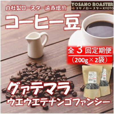 【ふるさと納税】【毎月定期便】コーヒー豆 グァテマラ ウエウエテナンゴファンシー200g×2(全3回/6回/12回)【配送不可地域:離島】【G4063190】|京都府与謝野町