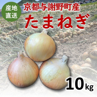 【ふるさと納税】【期間限定】 玉ねぎ 約10kg　京都与謝野町のこだわり栽培たまねぎ　【AGRIST】【1754650】｜京都府与謝野町 7,700円