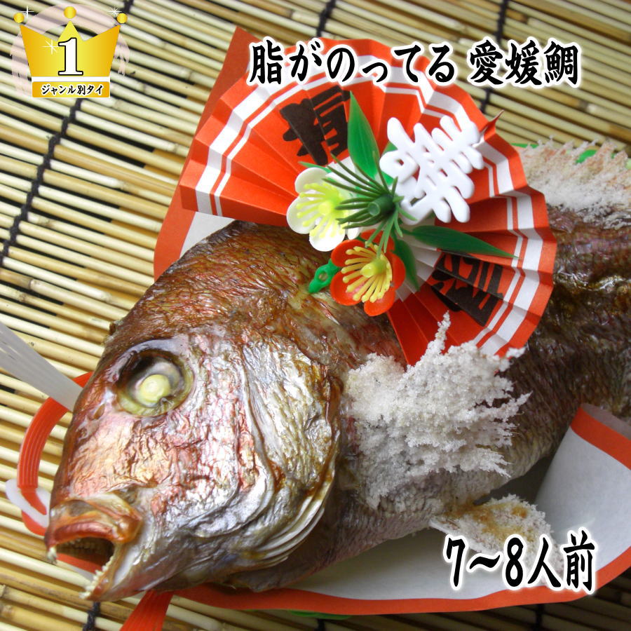 【ふるさと納税】天然祝鯛　炭火焼　1.5kgアップ（愛媛活け鯛）　お届け：※12月15日申し込み分までは年内配送、16日申し込み以降は1月16日以降のお届け。