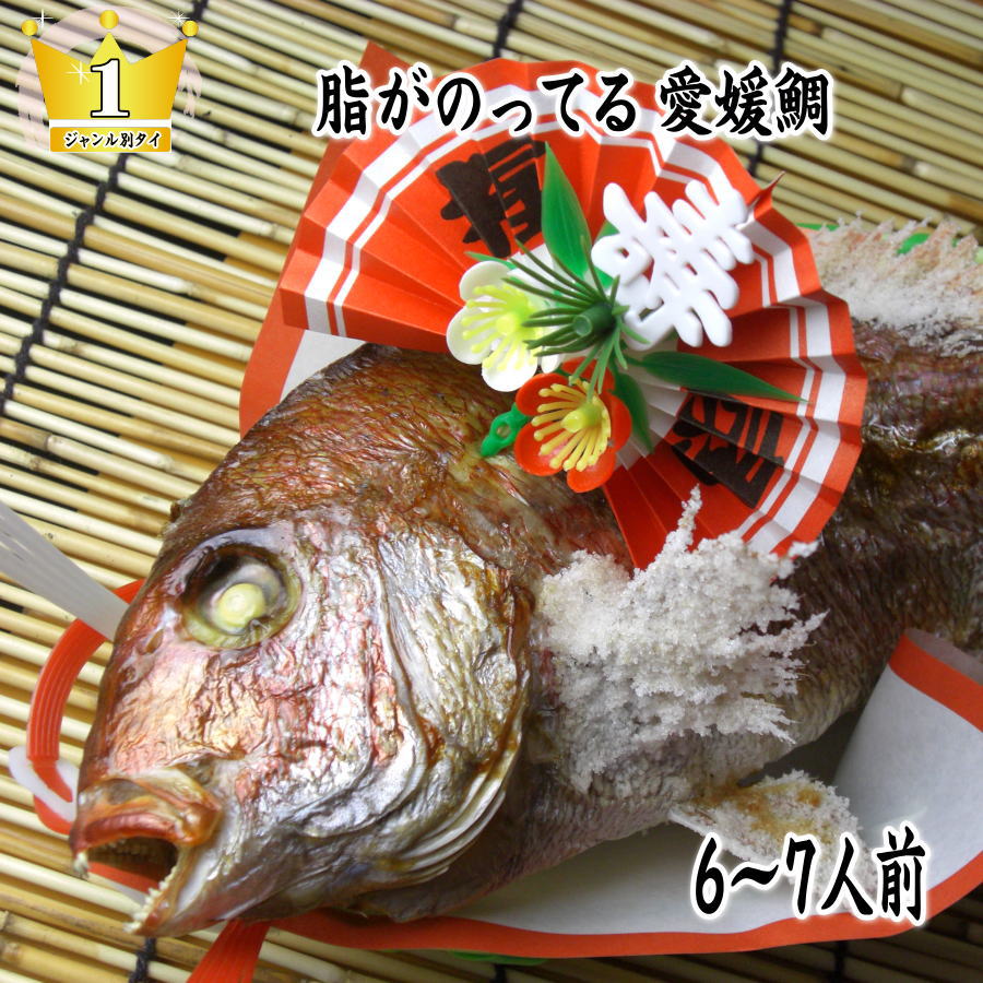 【ふるさと納税】天然祝鯛　炭火焼　1.2kgアップ（愛媛活け鯛）　お届け：※12月15日申し込み分までは年内配送、16日申し込み以降は1月17日以降のお届け。