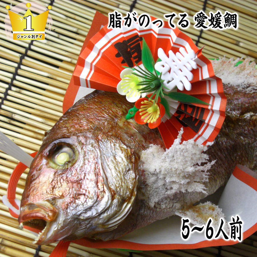 【ふるさと納税】天然祝鯛　炭火焼　1kgアップ（愛媛活け鯛）　お届け：※12月15日申し込み分までは年内配送、16日申し込み以降は1月18日以降のお届け。
