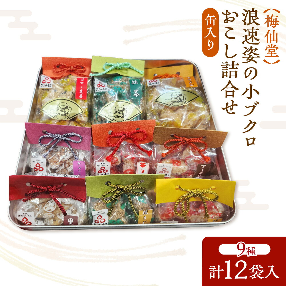 【ふるさと納税】【近鉄百貨店】梅仙堂 浪速姿の小ブクロおこし 詰合せ 12個入 缶入り 和菓子 小粒 食べやすい 大阪 おこし 菓子 ギフト 贈答 お菓子 詰め合わせ 送料無料 大阪市 大阪府｜大阪府大阪市