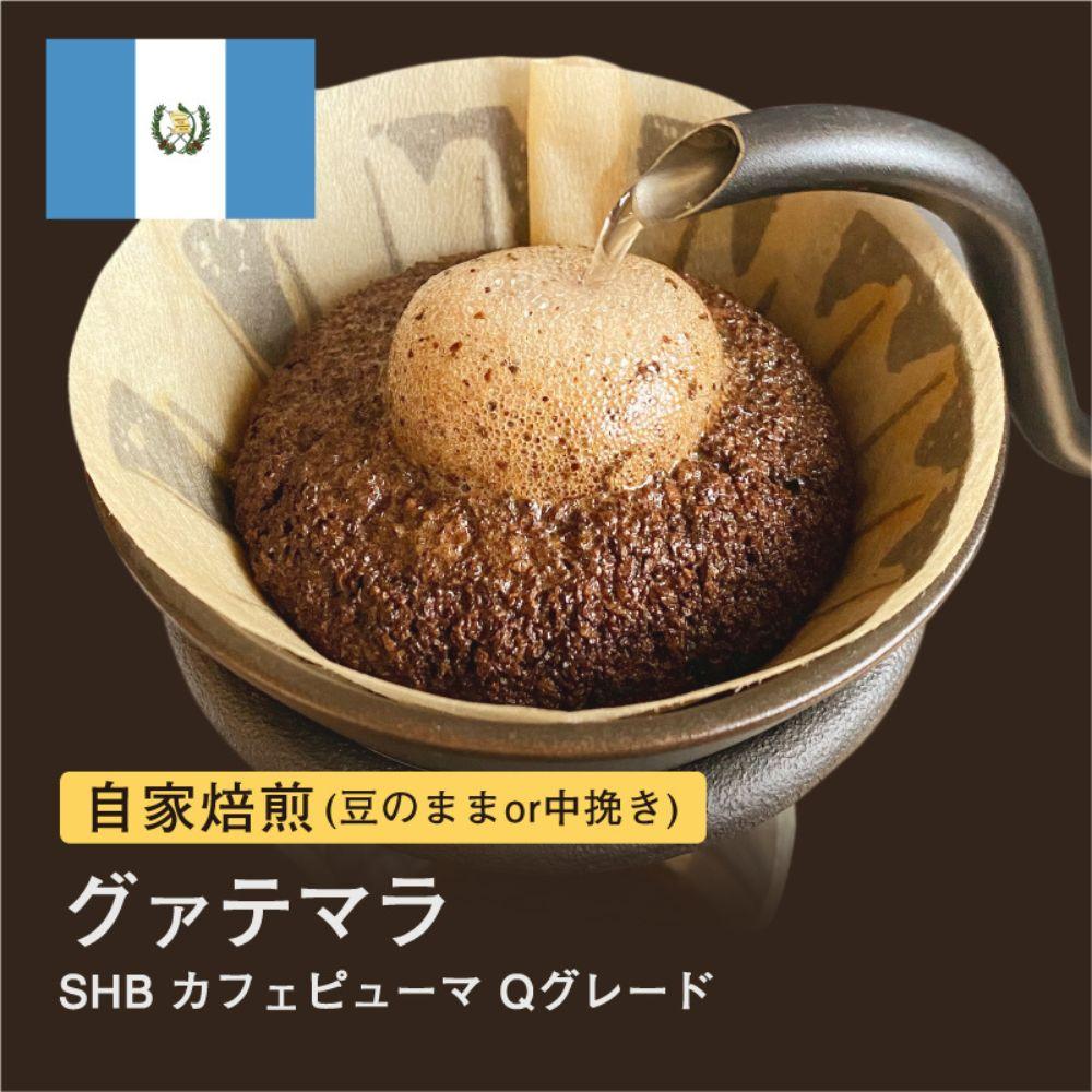 【ふるさと納税】自家焙煎コーヒー！#049 310g グァテマラSHB カフェピューマ Qグレード 珈琲（豆または中挽きから選択）