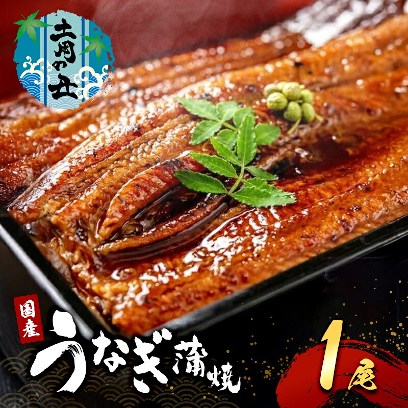 【ふるさと納税】2026先行予約【7月発送】 国産うなぎ蒲焼 1尾 (240g～250g) 国産 うなぎ ウナギ 鰻 国産うなぎ 国産鰻 うなぎの蒲焼 鰻の蒲焼 うなぎの蒲焼き 鰻の蒲焼き 蒲焼き 惣菜 魚 魚介 魚介類 大阪 大阪府 岸和田市　お届け：2026年7月12日～末日まで