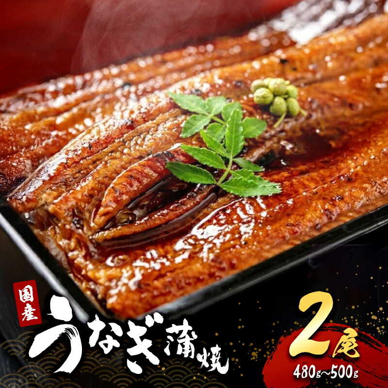 【ふるさと納税】うなぎ 国産 蒲焼き 2尾 (480g～500g) 詰め合わせ セット うなぎ蒲焼 国産うなぎ 国産うなぎ蒲焼 うなぎの蒲焼 冷凍ウナギ 冷凍食品 冷凍 惣菜 おかず 魚 魚介 魚介類 大阪 大阪府 岸和田市　お届け：最大で1ヶ月程度かかる場合がございます。 19,880円