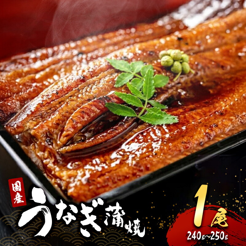 【ふるさと納税】うなぎ 国産 蒲焼き 1尾 (240g～250g) うなぎ蒲焼 国産うなぎ 国産鰻 国産うなぎ蒲焼 うなぎの蒲焼 鰻の蒲焼 冷凍ウナギ 冷凍食品 冷凍 惣菜 おかず 魚 魚介 魚介類 大阪 大阪府 岸和田市　お届け：最大で1ヶ月程度かかる場合がございます。 10,360円