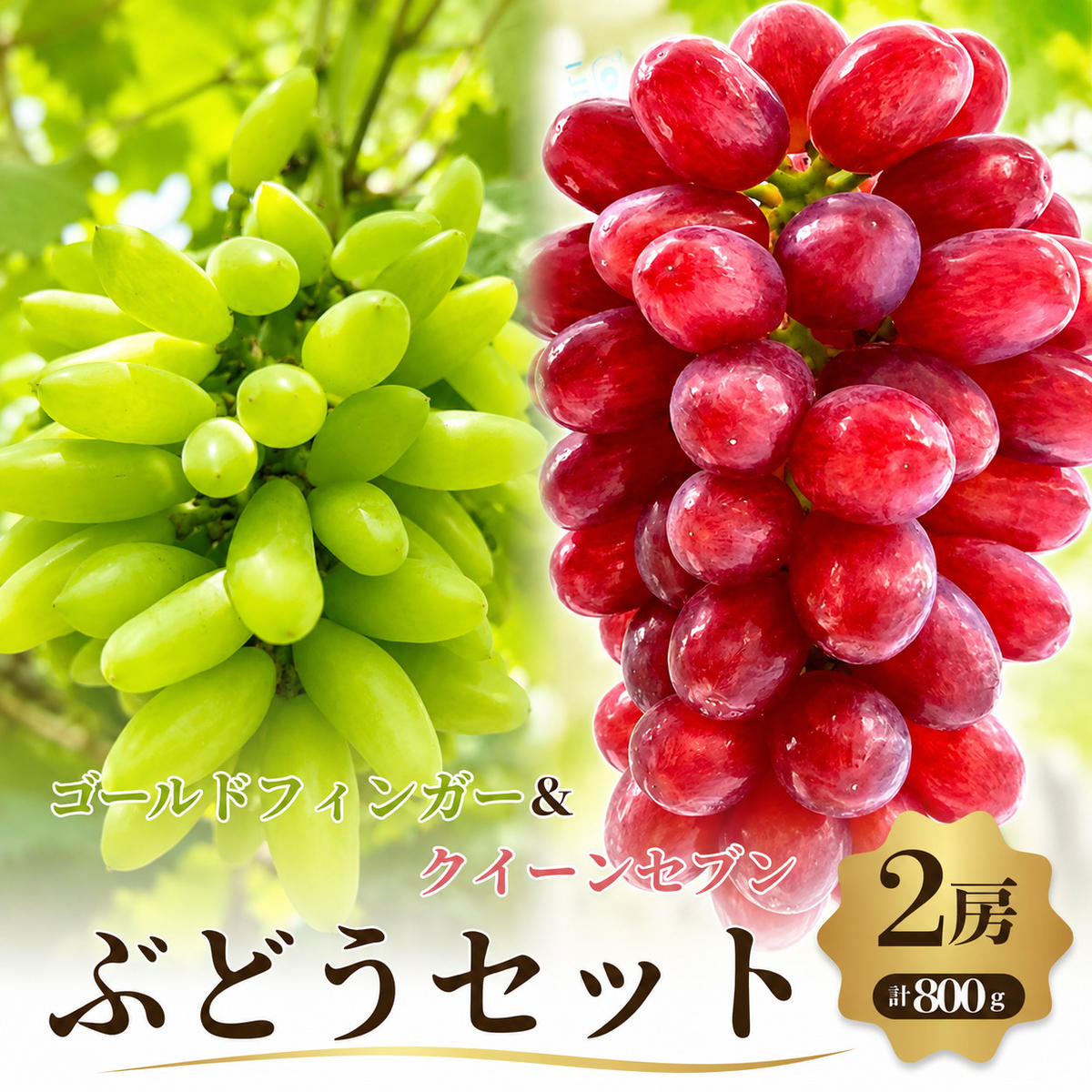 【ふるさと納税】【先行予約】【数量限定】おすすめ感謝 セット ぶどうセット クイーンセブン ゴールドフィンガー 2房 セット 詰め合わせ 葡萄 ぶどう 食べ比べ フルーツ 果物 旬の果物 大阪 大阪府 岸和田市　お届け：2026年8月中旬～9月中旬まで