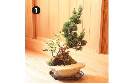 【ふるさと納税】養庄園 時期の寄せ植え盆栽