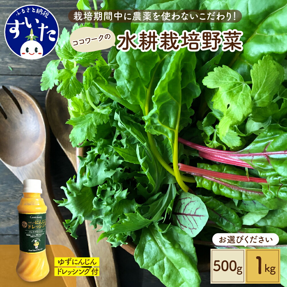 【ふるさと納税】【内容量が選べる】ココワーク の 水耕栽培 野菜 500g 1kg ゆず にんじん ドレッシング 付 農薬不使用 さっと洗うだけ 食べやすい 送料無料 お取り寄せ 大阪府 吹田市