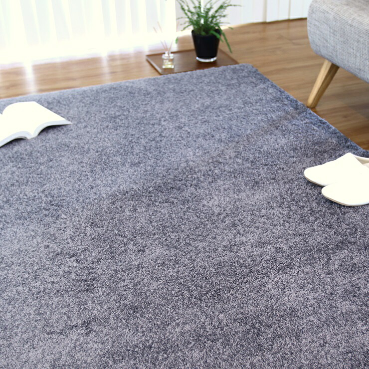 【ふるさと納税】カーペット フロッシュ2 グレー 190cm×190cm｜日本製 国産 敷物 ラグ アース防ダニ 抗菌防臭 防炎 滑り止め 床暖ホットカーペット対応 [5096] 33,150円