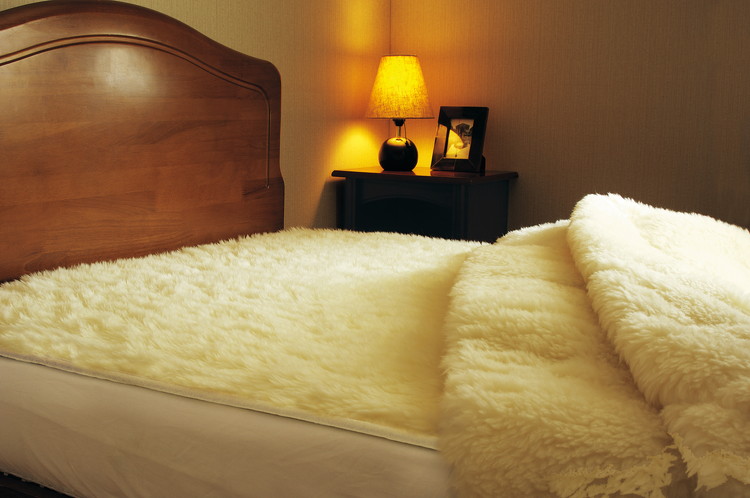 楽天市場】【ふるさと納税】ザ・プレミアム ソフゥール 掛け毛布