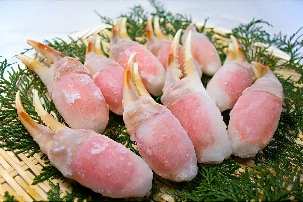 【ふるさと納税】本生ずわい蟹 カニ爪セット 400g | カニ かに 蟹 冷凍 カニしゃぶ お鍋 フライ 蟹爪 魚介 海鮮 大阪府 泉大津市 [1615]