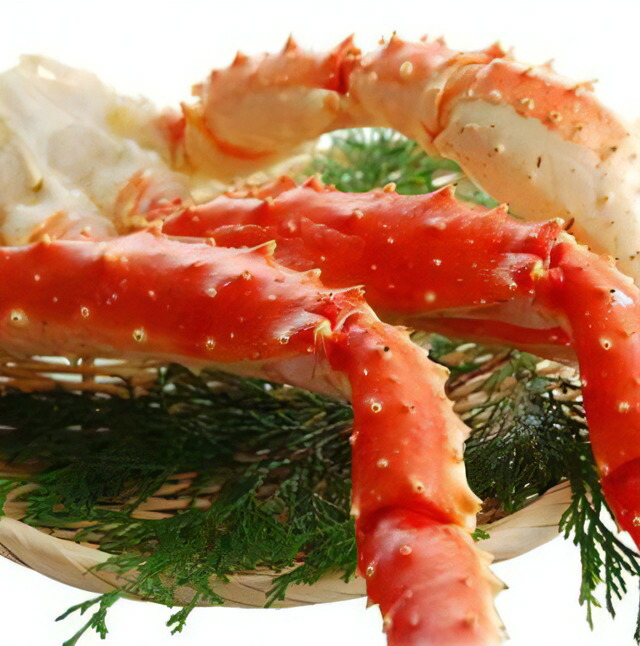 【ふるさと納税】ボイルたらば蟹 特大サイズ 5L 2kg | 蟹 カニ 魚介 海鮮 蟹脚 冷凍 大阪府 泉大津市 [1604]